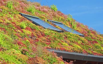 Breascleit living roof systems